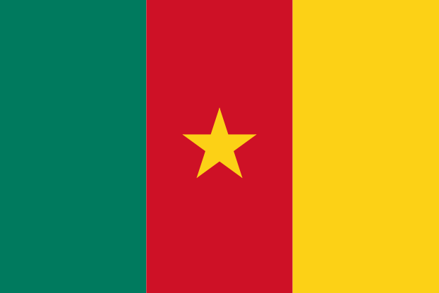 Kamerun | Flaga Kamerunu | Afryka | flagi państw świata | Państwa bandery świata