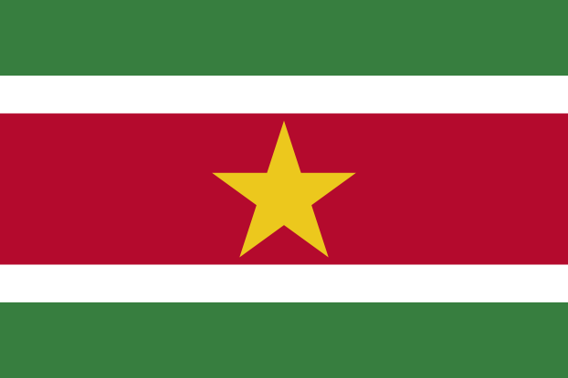 Surinam | Flaga Surinamu | Ameryka Południowa | flagi państw świata | Państwa bandery świata